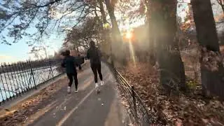 Walk with Me in Central Park for 40 Minutes during Winter Sunset
