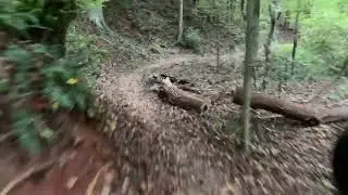 Forney Creek Trail Race Preview