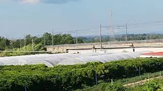 Frecciarossa 9523 Torino P. N. - Reggio CL C. Le