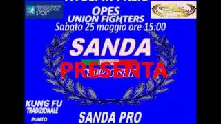 UNION FIGHTERS SANDA FIGHT CHAMPIONSHIP