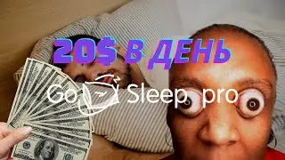 20$ В ДЕНЬ НА ПАССИВЕ ОТ GO SLEEP
