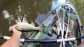 Virginia River Kayak Bass Fishing (Old guys spot burn me?)