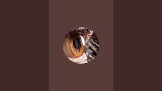 Drishti : we care for your eyes👁️ is live