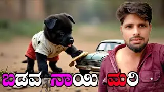 ಬಡವ ನಾಯಿ ಮರಿ #fishing #fillings #dog #blog #vlogs #video #kannada  #puppy #ಪಪ್ಪಿ 