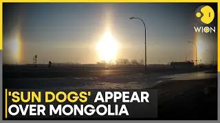 A Rare Atmospheric Optical Phenomenon Known as  &lsquo;Sun Dogs&rsquo; Seen in Skies Over Mongolia | WION