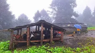 Surviving Life in the Nepali Mountains During the Rainy Time | All Season Compilation Video |