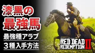 【RDR2】凱旋門賞馬よりこっち！真の最強馬を入手する方法！漆黒のアラブがカッコよ過ぎる！黒色含む三種類を紹介します【レッドデッドリデンプション2】