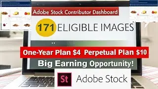 Adobe Stock Dashboard Guide | How to Select Images for Free Collection & Upfront Payment 2025