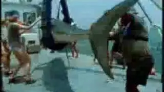 لقطات مضحكة funny dahk sport More? tricks  