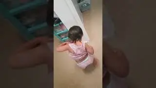 Belly Button Discovery