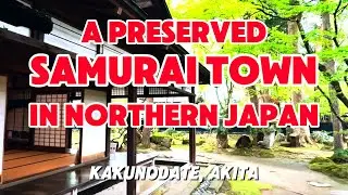 [Vlog] Kakunodate, Akita: Japan&rsquo;s Secret Samurai Town You Should Visit 🇯🇵🎎🏞️