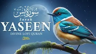 Surah Yaseen سورة يس | Ultimate Relaxing Quran for Sleep & Serenity | Dignified Quran #quran #lofi