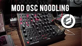 Messing Around with MOD OSC | Moog Sound Studio (DFAM, Subharmonicon, Labyrinth)