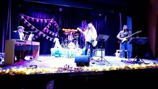 Orange River Remedy &ldquo;Our House&rdquo; CSN&Y (cover) 2021 ft Dan Sealey