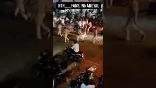 NTR fans in Nandyal theatres Hungama 🔥🔥