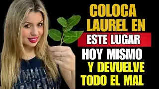 Coloca LAUREL en ESTE lugar de tu casa y RECHAZA todo Mal y Brujería | BUDISMO