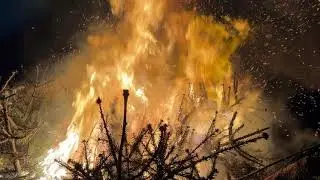 Weihnachtsbaumaktion 2026 CVJM Oberschelden