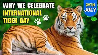 The Truth About Tigers | International Tiger's Day