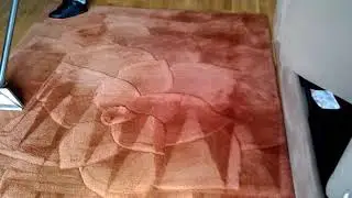 Area Rug Cleaning--Carpet Cleaner Staten Island