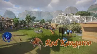 🦘🌏Red Kangaroo habitat | #3 Aoraki #planetzoo #speedbuild #kangaroo
