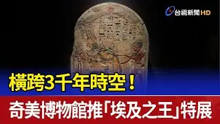 橫跨3千年時空！ 奇美博物館推「埃及之王」特展