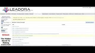 Website Contact Scraper