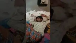 Harpalo
