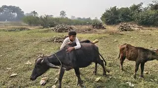 Fishing video # machli pakdane ke liye kya kar?!!!