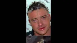 Shorts Compilation (Mostly Random Animal Videos)