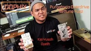 Dophix Purgatorio Overdrive & Nettuno Fuzz | Stoner Doom | Dyeth |