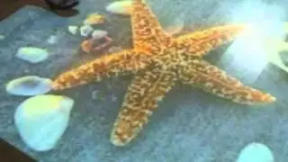 interactive floor on wedding.mp4