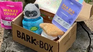 Bark Box Day August 2021 Squeakaway Camp Dog Toys