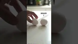 Can You Tell Which Egg is Boiled? 讀 Spin Test!