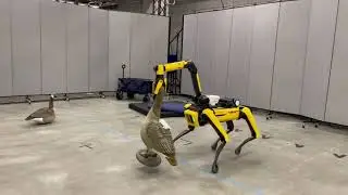 Robot Goose Grab