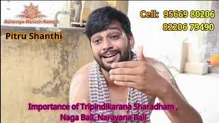 Importance of Pitru thila homam