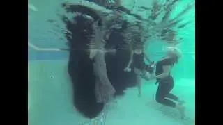 Housewives of Miami Adriana de Moura Underwater Photoshoot