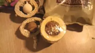 Pets at home haul