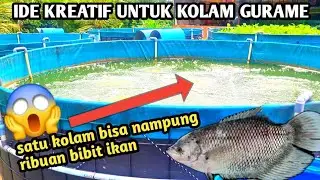 IDE KREATIF BUAT KOLAM IKAN 😱