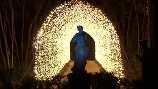Lighting the night: the newest Christmas show in Baton Rouge