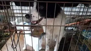 Gimana ni..., keluarnya...pintu...dikunci...ni .... siapa ya...tolong in...ni...buka...