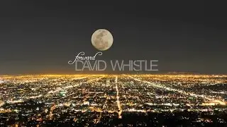 David Whistle - Forward