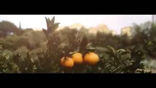 Arance di Ribera - spot azienda Arance Poggiodiana Ribera Sicilia