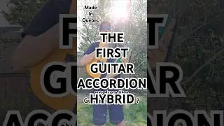 Should I mass produce the Guitardion Hybrid ? Made in Quebec #guitar #guitare #guitarra #music