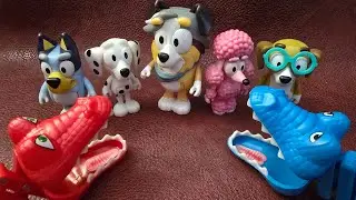 Dogs afraid of the crazy crocodiles. What they gonna do? ASMR MYSTERY UNBOXING AMAZING #bluey #crocs