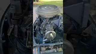 1974 Evinrude 25 hp outboard - Low speed issue