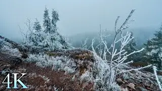 Icy Hike to Wolfswarte in the Harz Mountains ❄️ Frosty Winter Landscape, Harz Ambience 4K
