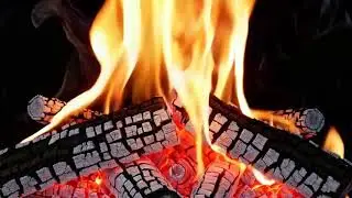 Calm Fireplace Ambience | Cozy Fire for Relaxation & Open House  #fireplace #bhogi #lohri #pongal