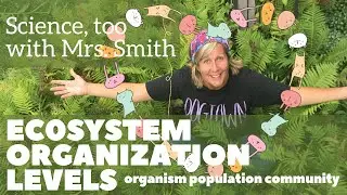 Quick Science for Kids: Levels of an Ecosystem: Organism, Population, Community Life Science