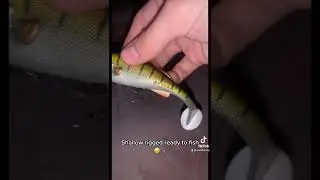 LMAB 14cm Kofi perch 😍🎣#lmab #fishing #pike #pikefishing