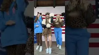 Cat 🐱❤